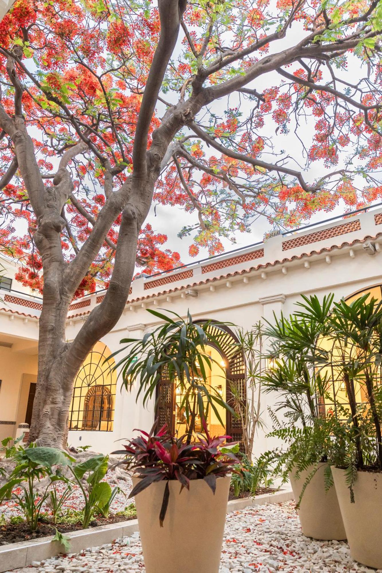 Gran Hotel Mexico By Solaris Tehuacán Buitenkant foto